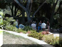 P1010087.JPG (63775 bytes)