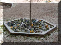 P1010003.JPG (64272 bytes)