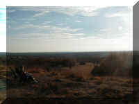 P1010024.JPG (58349 bytes)