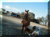 P1010026.JPG (62603 bytes)