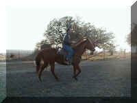 P1010029.JPG (57668 bytes)