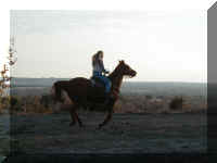 P1010039.JPG (55092 bytes)