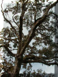 P1010068.JPG (164774 bytes)