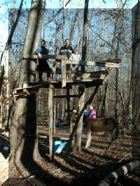 P1010074.JPG (172552 bytes)