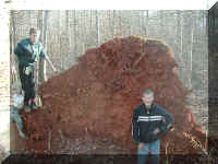 P1010075.JPG (63748 bytes)