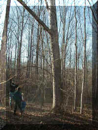 P1010076.JPG (174867 bytes)