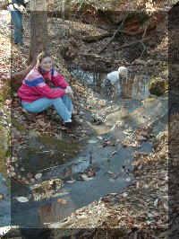 P1010077.JPG (168477 bytes)