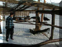 P1010109.JPG (63093 bytes)