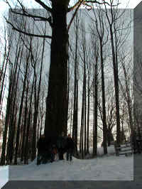 P1010115.JPG (151067 bytes)